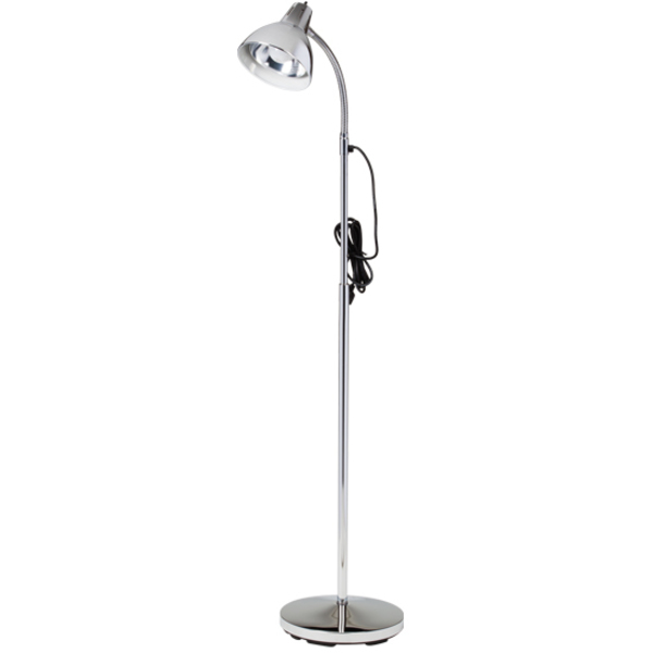 Clinton Gooseneck Lamp T-10